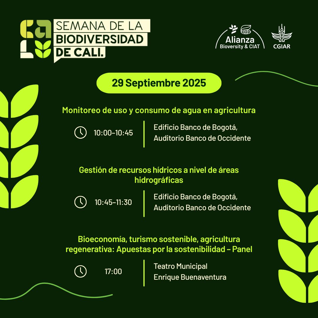 BiovIntCIAT_esp's tweet photo. 📅 ¡Agéndate! #SemanaBioCali2025
Este lunes 29 de septiembre hablaremos de:
💧 Uso eficiente del agua en la agricultura
🌱 Gestión sostenible de recursos hídricos
🌍 Bioeconomía, turismo sostenible y agricultura regenerativa
🔗 https://t.co/dl4R6O98zi
 #BioWeek2025 https://t.co/pIV1M4hWN7