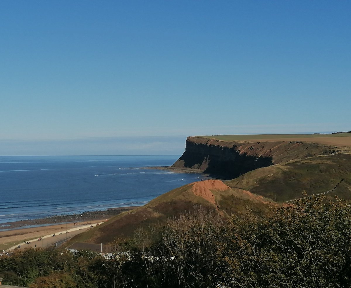 Andy Chard tweet media