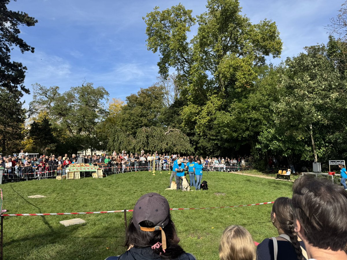VMontandon's tweet photo. 🐾 La Journée des chiens guides à #Paris12 fédère toutes les générations autour de valeurs fortes : l’engagement, la solidarité et le dévouement, celui des bénévoles, des salariés… et bien sûr, des chiens eux-mêmes. 💛 #ChiensGuides https://t.co/9c0huNxE6v