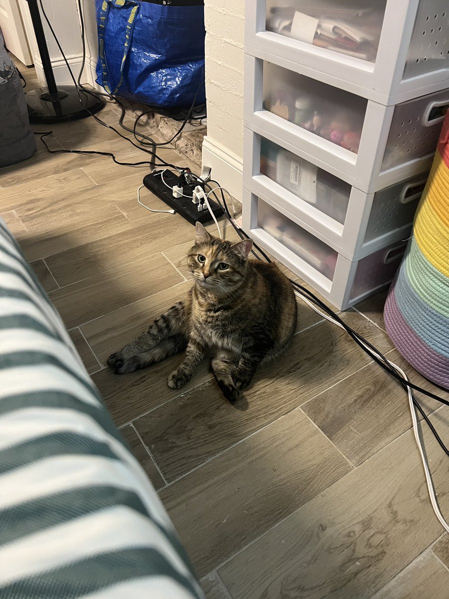 marble 🎱🐝 tweet media