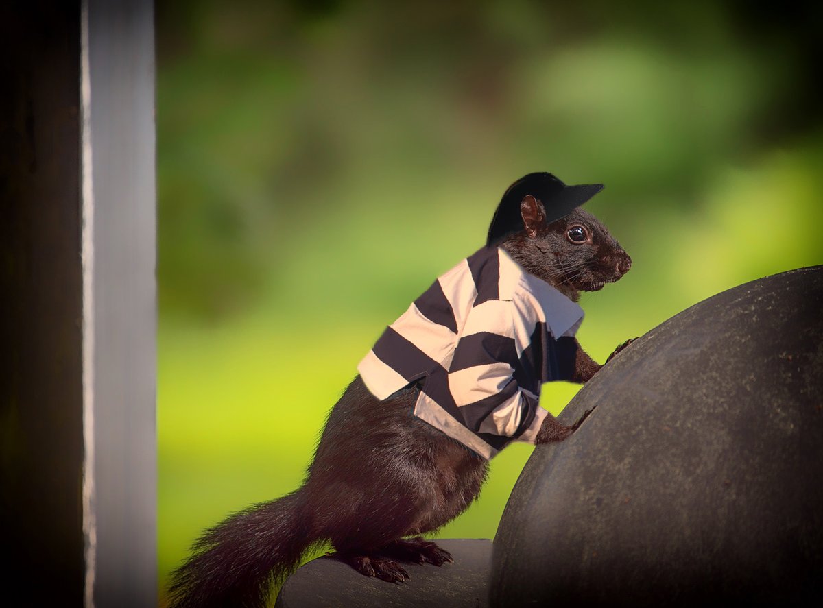 Sam_Alexandra23's tweet image. Good day Photographers &amp;amp; Friends! Today's challenge theme is #Anthropomorphism - expression of human behaviour or emotion through animals or inanimate objects. It can be humorous and fun. Have a great day out there! #Photography #Creative #HumanNature 📸