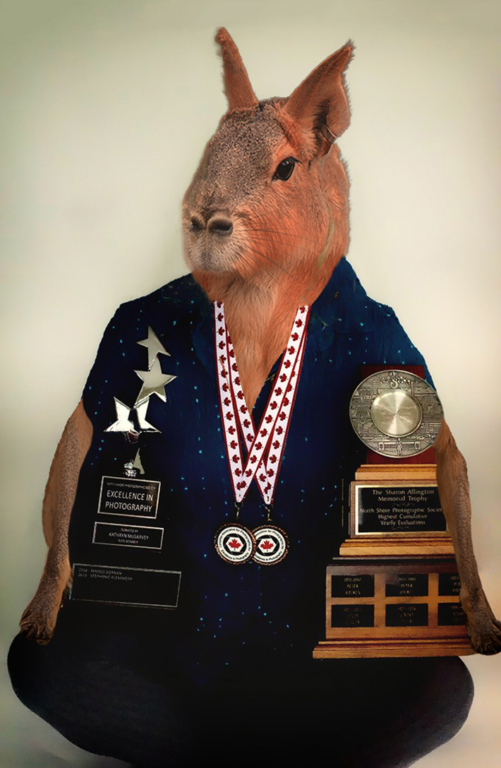 Sam_Alexandra23's tweet image. Good day Photographers &amp;amp; Friends! Today's challenge theme is #Anthropomorphism - expression of human behaviour or emotion through animals or inanimate objects. It can be humorous and fun. Have a great day out there! #Photography #Creative #HumanNature 📸