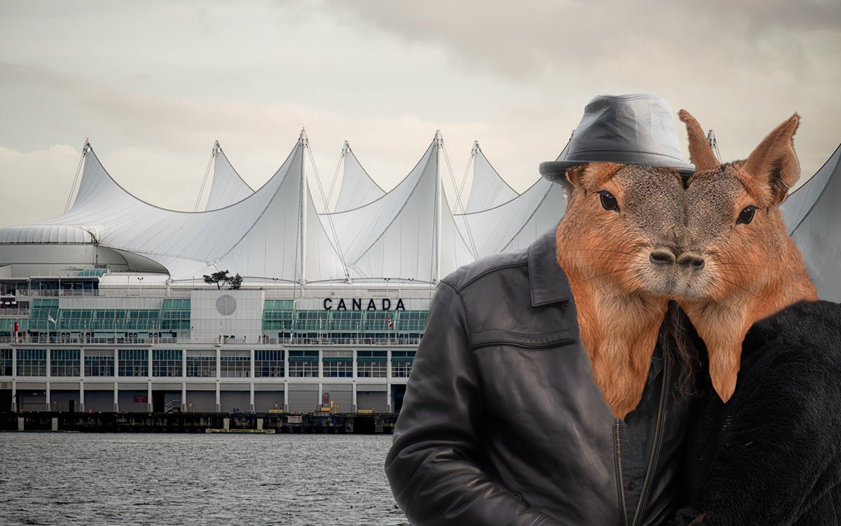 Sam_Alexandra23's tweet image. Good day Photographers &amp;amp; Friends! Today's challenge theme is #Anthropomorphism - expression of human behaviour or emotion through animals or inanimate objects. It can be humorous and fun. Have a great day out there! #Photography #Creative #HumanNature 📸