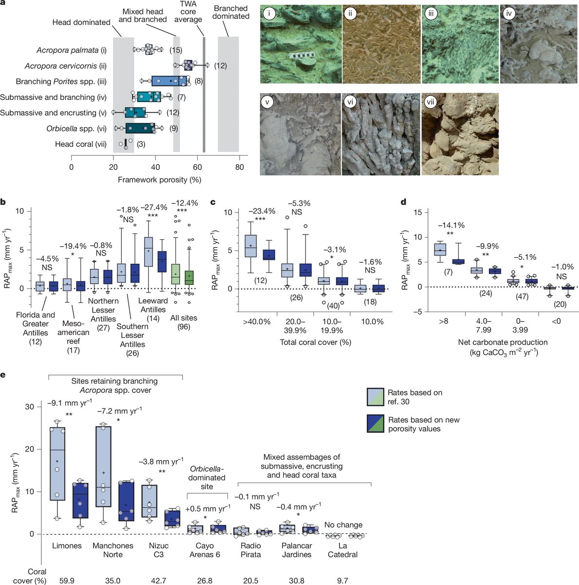 Climate change: Reef buffers at risk owing to warming
<a href="/Nature/">nature</a> #OA #OpenAccess paper by Chris Perry et al.
Reduced Atlantic reef growth past 2 °C warming amplifies sea-level impacts
nature.com/articles/s4158…
@uniofexeter @sorbonne_univ_ <a href="/UNIV_TSUKUBA_JP/">筑波大学</a> @unam_mx @lncbiocc
