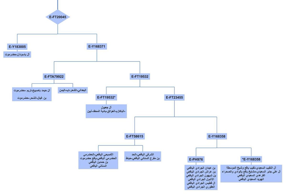 E-M84(P) tweet media