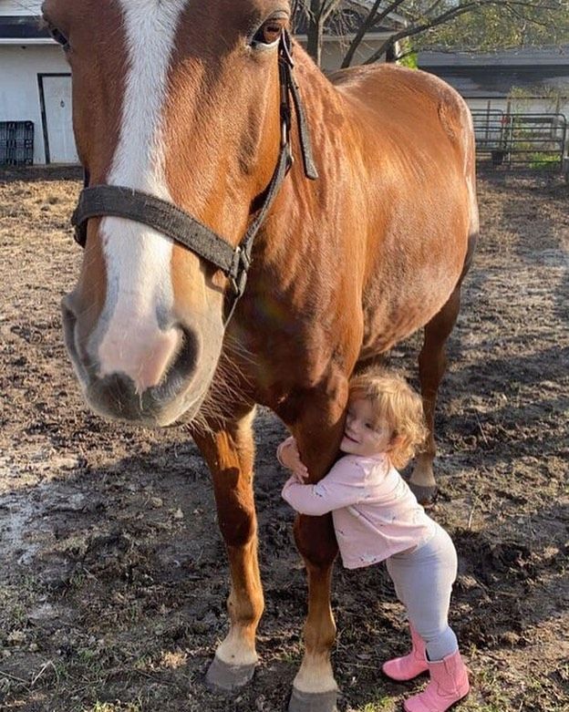 🪽 (@babysmelll) on Twitter photo 