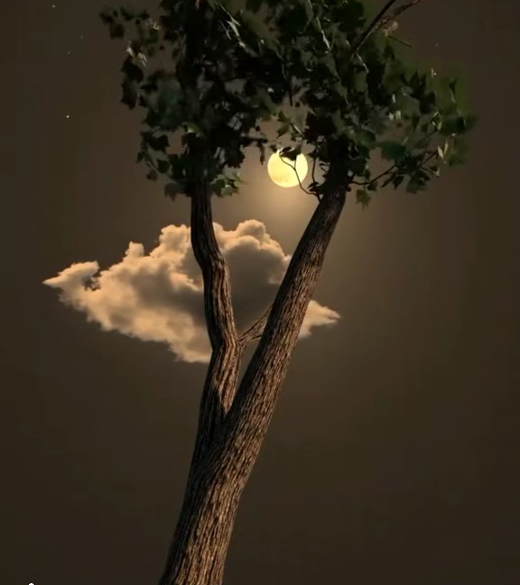 ❤

"في ليلة مقمرة،
 سألتني عن أعجب الأشياء،
       فقلت: أنت ❤️🌕."

❤