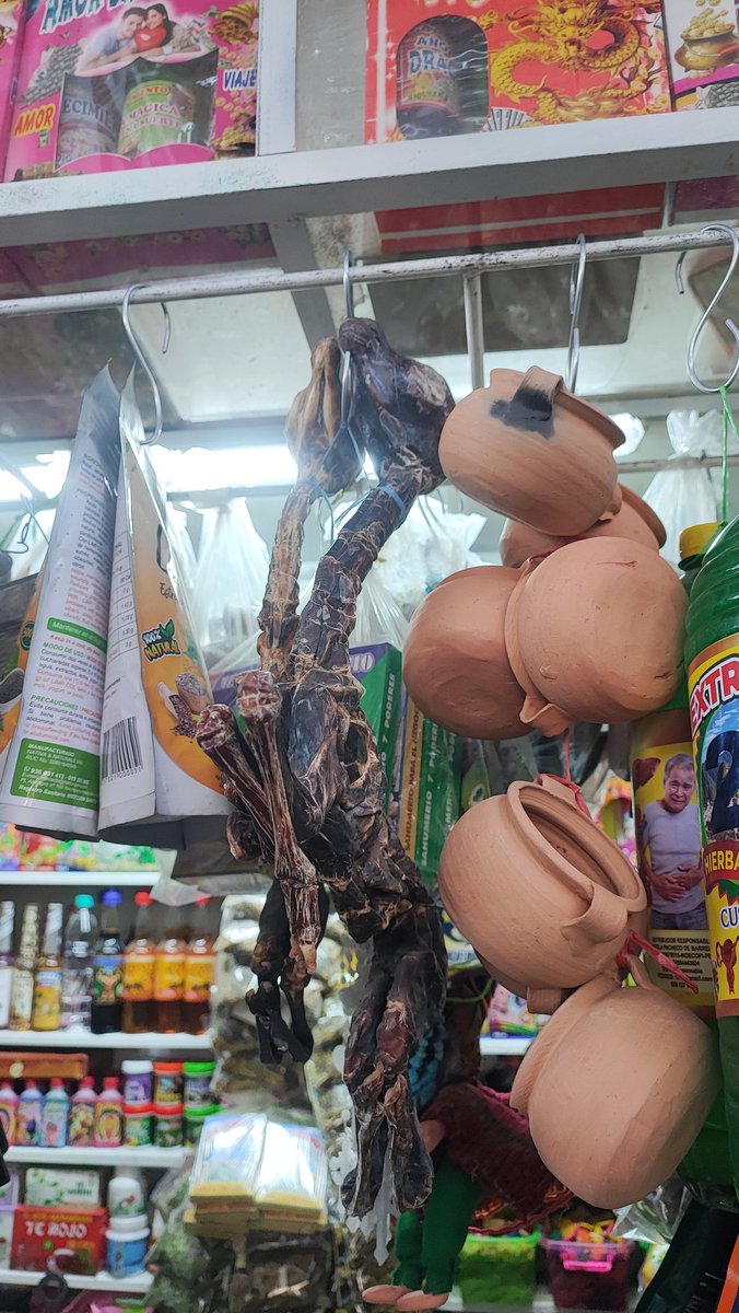 Fetos de llama secos en mercado San Camilo de Arequipa. Se usan para ceremonias rituales como ofrendas a la tierra.