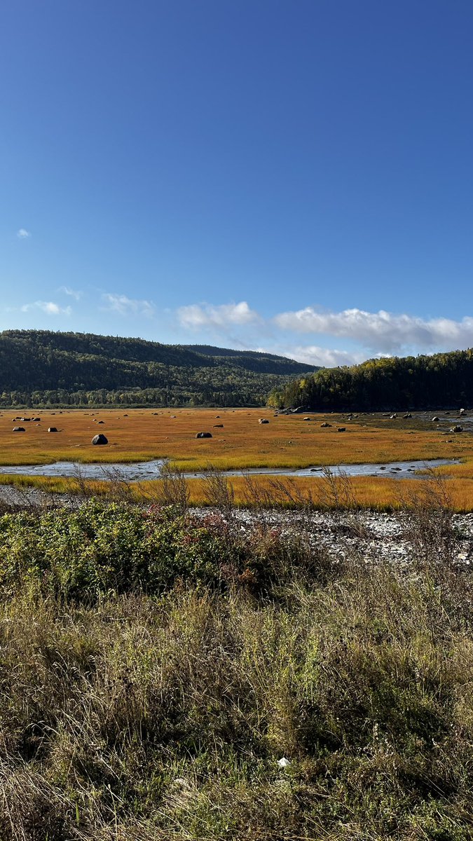 Billile01's tweet photo. Quelques jours de congé bien mérités 
#gaspesie #Montreal #Quebec https://t.co/iwyLlHW1Py
