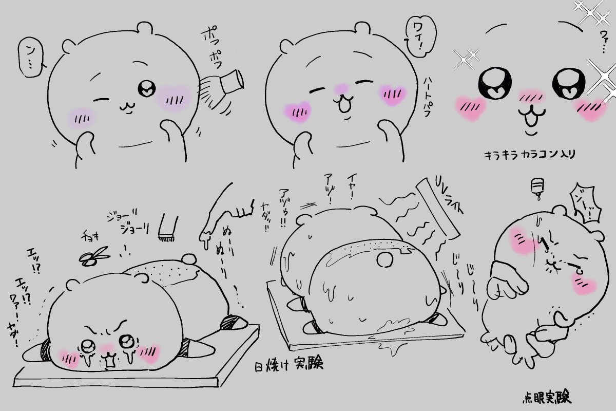 gyakumin's tweet photo. #ちい虐
動物実験で皮膚感作性と眼刺激の実験体にされる白糞 https://t.co/Td8fRBrQVV