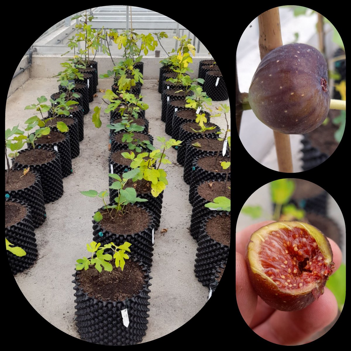 Perks of the job 😋