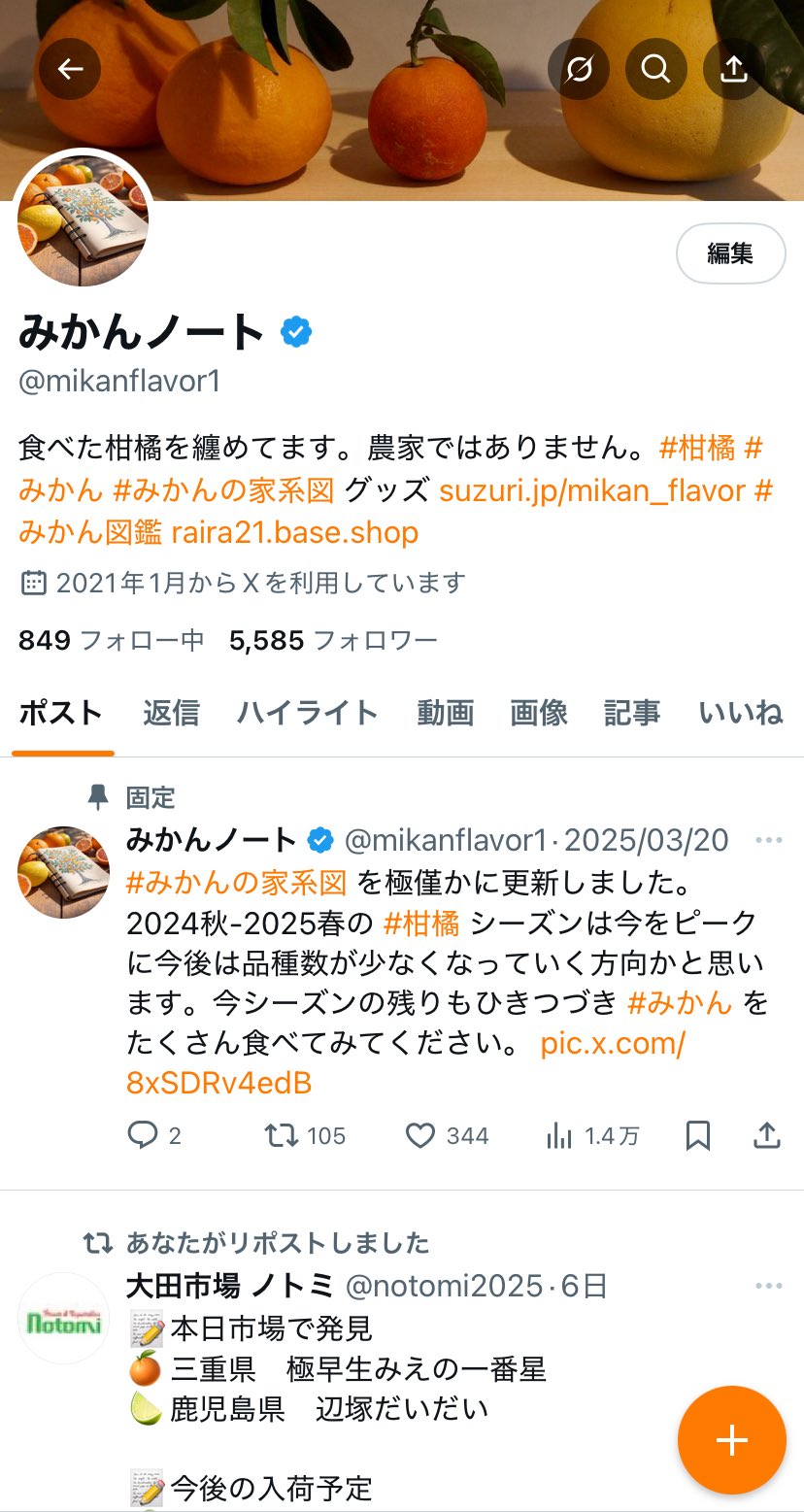みかんページ Amazon.co.jp: Harumi Mikan Harumi Orange Produced in