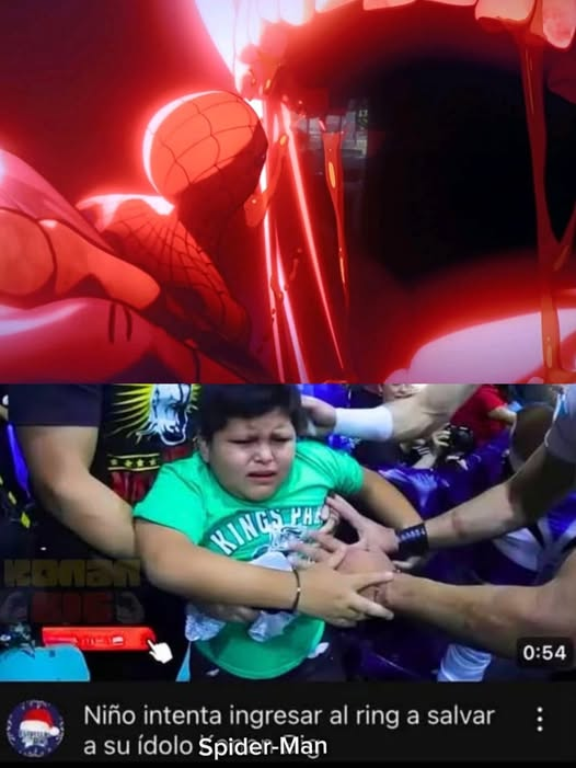 Una hormiga que mira tu post 🐜 tweet media