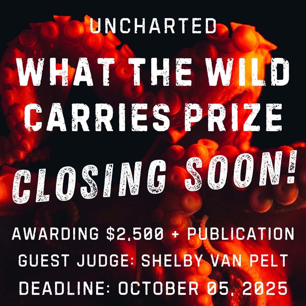 ❗🐙 Only ONE WEEK remaining! 🐙❗

Guest Judge Shelby Van Pelt will choose three winning stories. First place will receive $2,000 + publication. Please submit short stories or novel excerpts—5,000 words max!

Deadline: October 5, 2025, 11:59 PM Pacific

unchartedmag.com/what-the-wild-…