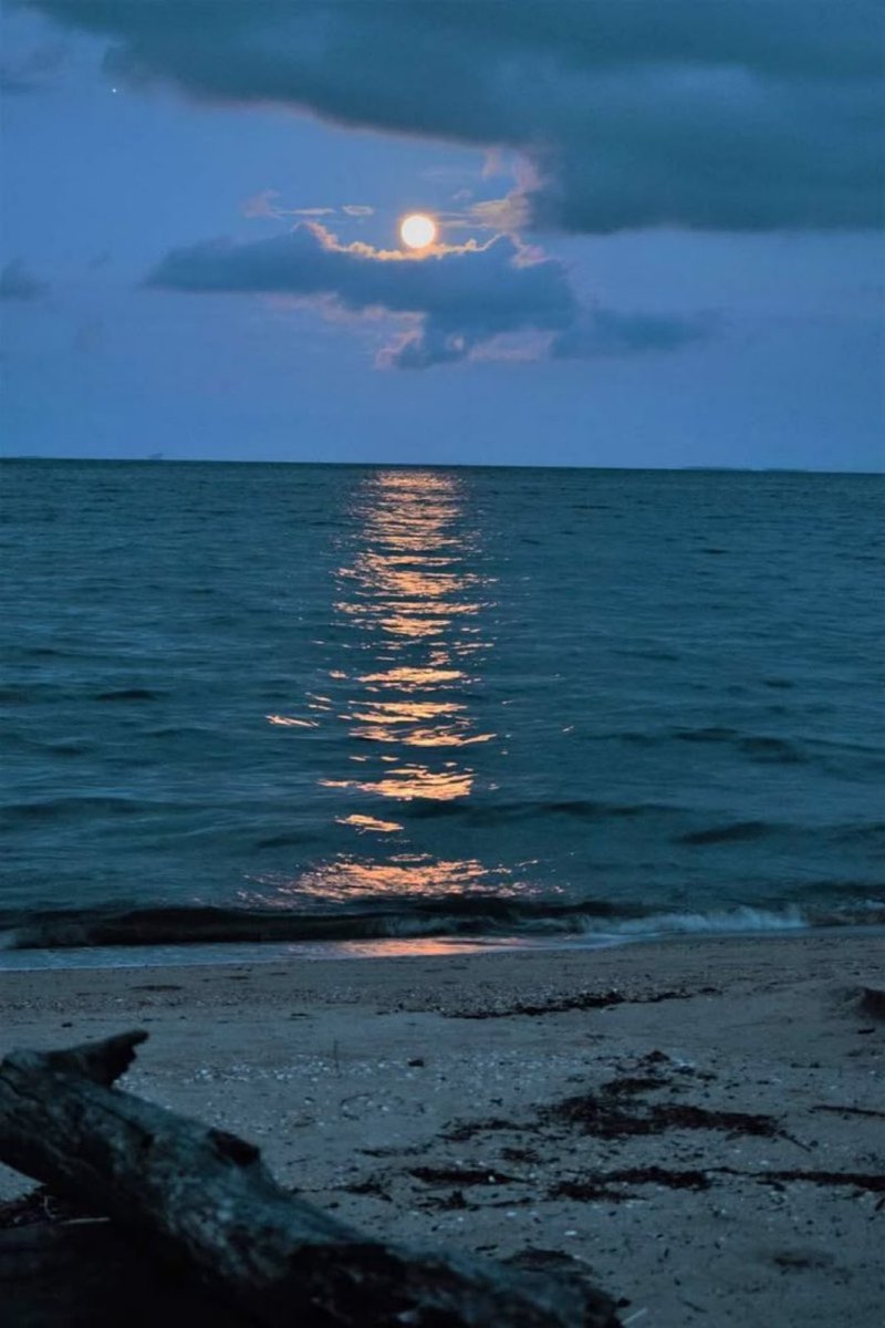 MOON LOVER (@m1onlover) on Twitter photo 