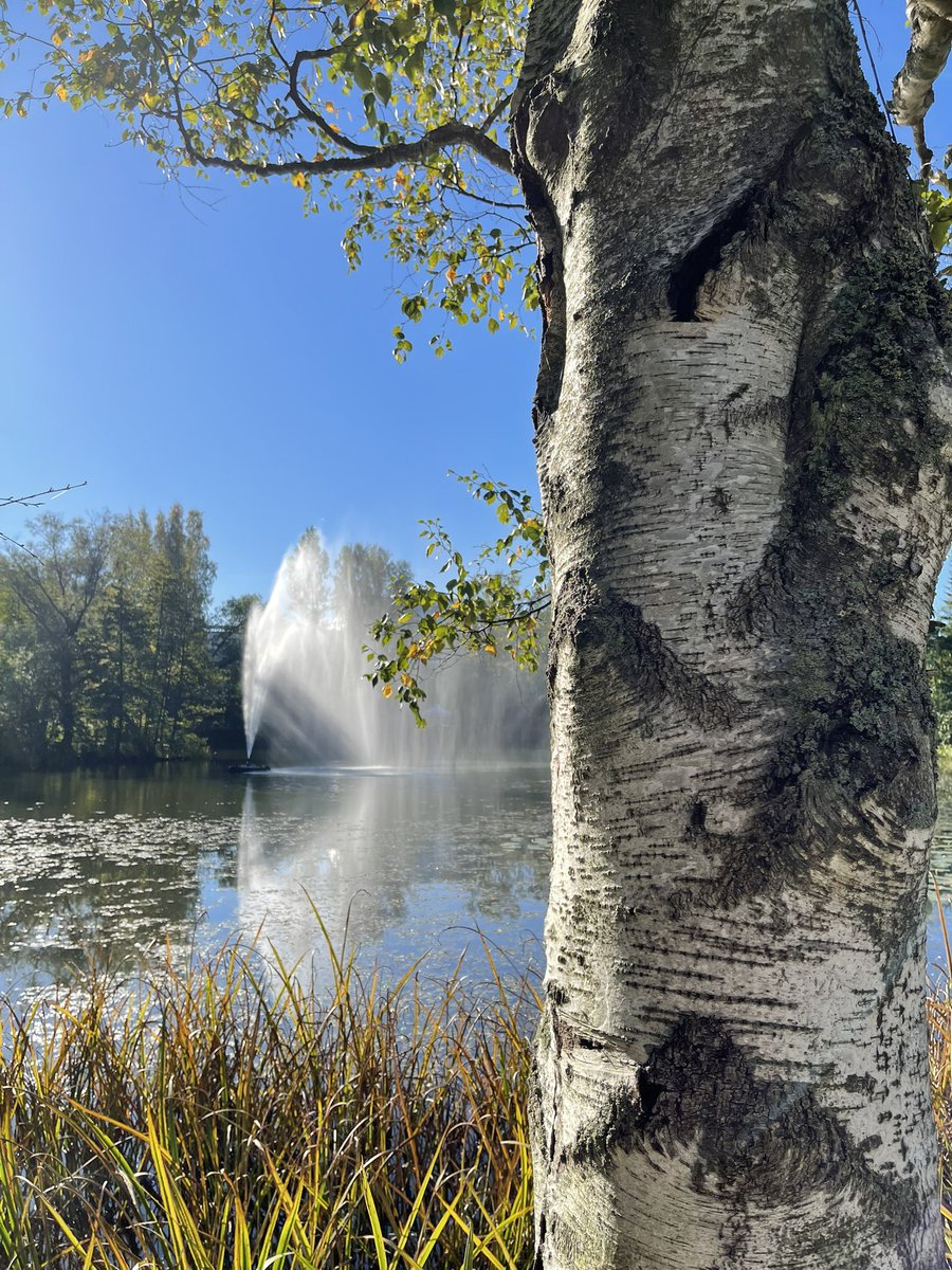 Sorsapuisto #Tampere