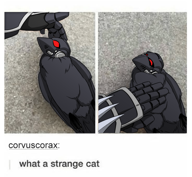 M_Inferna's tweet image. #ravenguard #corvuscorax