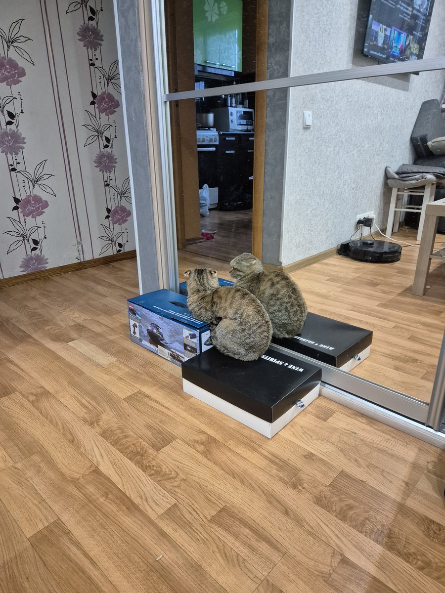 Ей так удобно