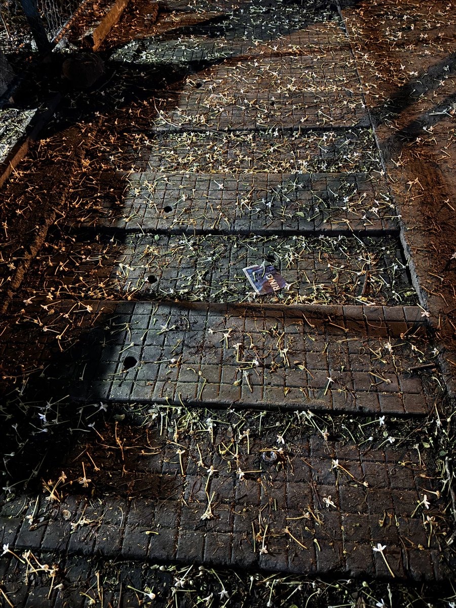 _rithikjain's tweet image. My most irrational fear is I’ll fall through one of these things