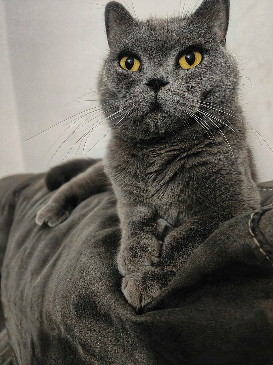 do you love me ?? ❤️ 😺 🎉 🎈 🍀 ❤️