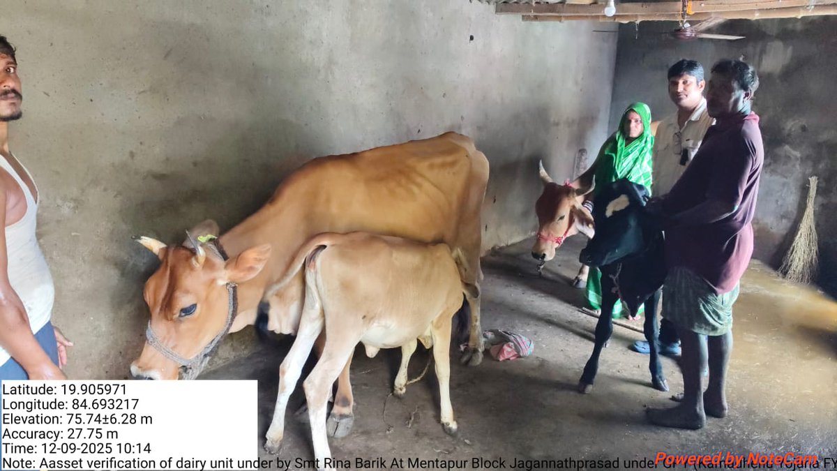 Dairy units under GPY under MKY for year 2025-26 in block Jagannathprasad Dist-Ganjam