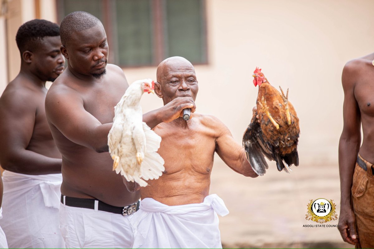 Dzawuwu Rituals – 27th Sept, 2025
We performed the sacred Dzawuwu Rituals of the Te Za, offering the first yams (bakabake) to our gods, ancestors &amp; sacred stools before anyone partakes. A reminder to honor the source of our blessings.

#AsogliTeZa25