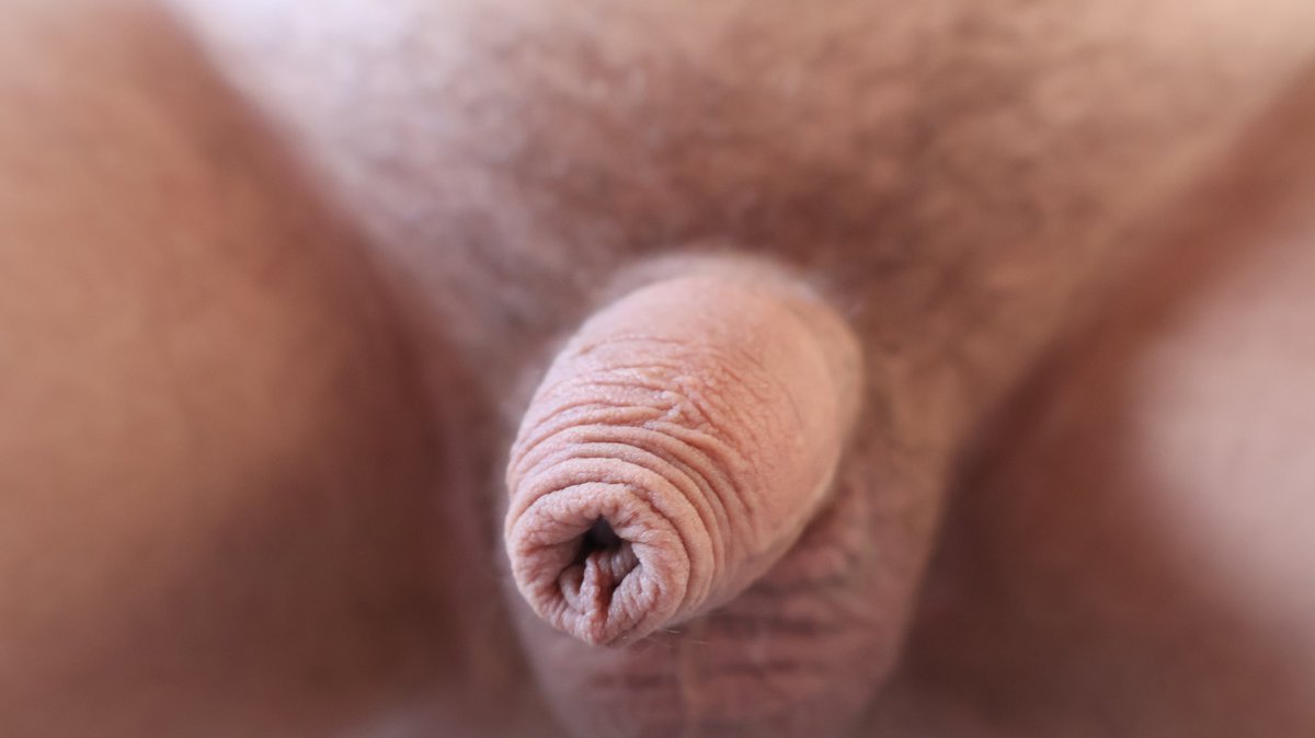 MishasC4639's tweet photo. Hard or soft?🤔😋
For more stuff check my OF https://t.co/GzUwGYPu2k
Reddit https://t.co/gIoK6nsdtp
Chaturbate https://t.co/Y6iiSREqXT
#cock #dick #penis #hardcock #hardon #hard #soft #flaccid #limp #flaccidpenis #bigcockhead #closeup #foreskin https://t.co/EuzPX5YFee