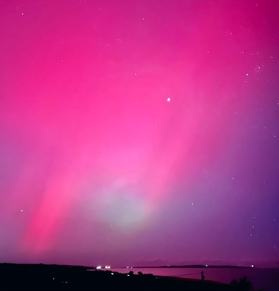 Alan Mac Cárthaigh 🇮🇪 tweet media