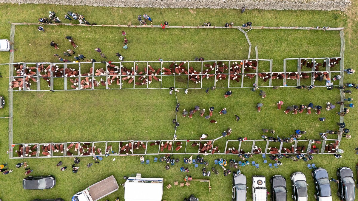 Bill Robertson tweet media