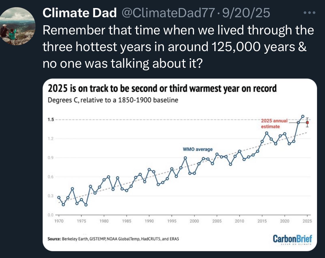 SarahElizaBeez's tweet image. Remember that time when all those white climate dudes tweeted non stop about the climate crisis without EVER naming the root causes: White Supremacy, Patriarchy, Colonialism, Imperialism.
And nary a single solitary #landback was to be heard from them