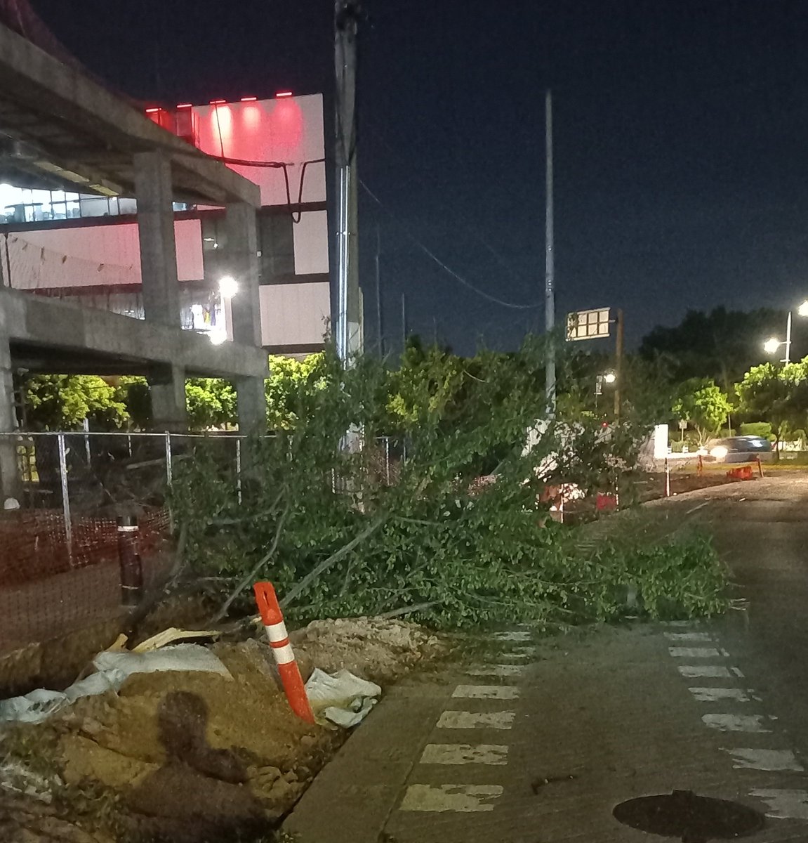 Este árbol caído peligroso invadiendo la ciclovia que paso? No le importan los ciclistas presidente <a href="/JuanJoseFrangie/">Juan José Frangie</a> ? <a href="/ServiciosZap/">Servicios Municipales Zapopan</a> <a href="/ZapopanGob/">Gobierno de Zapopan</a> <a href="/ZapopanDen/">Denuncia Ciudadana Zapopan</a> <a href="/Trafico_ZMG/">TráficoZMGuadalajara</a> <a href="/GDLsinfiltro/">La Vida No Es Rosa</a> <a href="/LOBOALFA76/">LOBO ALFA</a> <a href="/RubiBobadilla/">Rubi Bobadilla</a>  lo peor esta cerca del CICSZ junto a la construcción de depas.