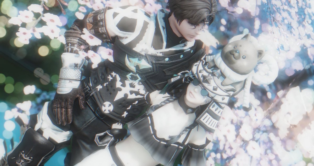 치베 (@dda_chi_beee) on Twitter photo 