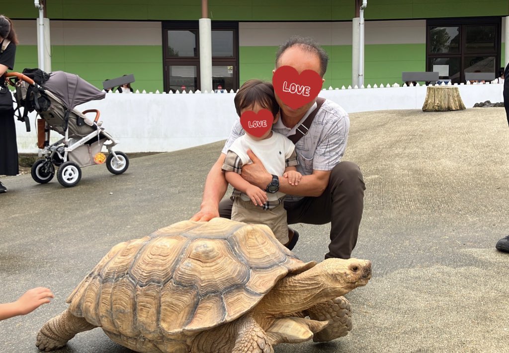 2日目はふれあい動物園。ヤギにびびってじぃじに抱っこマンだったけど、魚やカピバラ、亀、カブトムシはツンツンしたり餌をやったりしてました。「ぞう」が言えるようになったので、いつか本物をみせてあげたいね〜