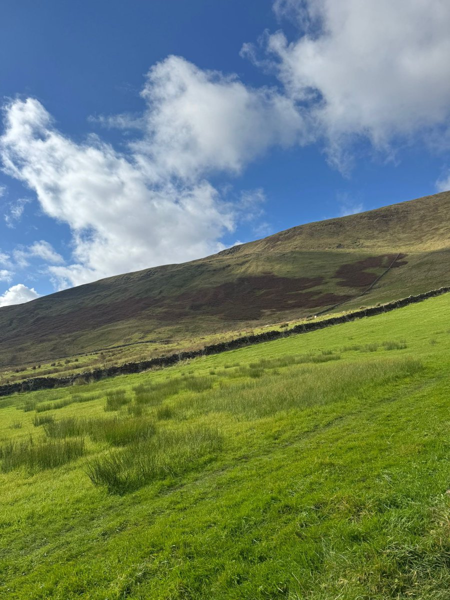 Matthew Bee tweet media