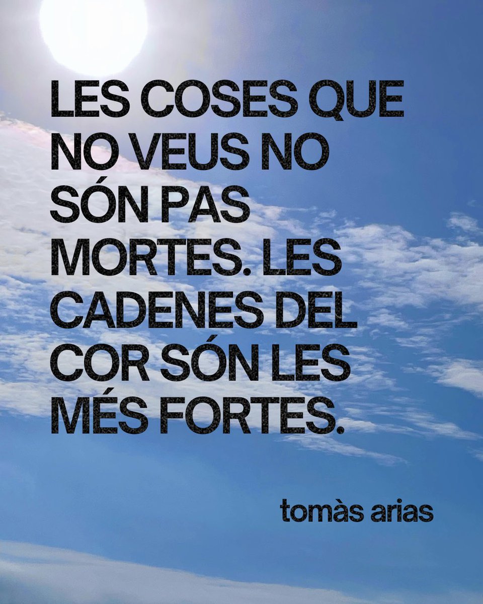 💫 Recital dels poetes Jaume Pont, Roser Bastida i Tomàs Arias amb música de Joan Ribera

🗓️ Divendres 3 d'octubre a les 20 h
📍Espai Santa Eulàlia, Gironella