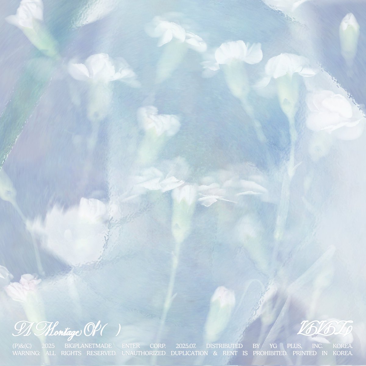 gfrdisco's tweet photo. ⋆𐙚₊ A Montage Of, VIVIZ 
— Album • 2025 https://t.co/GyfbKOGWz8