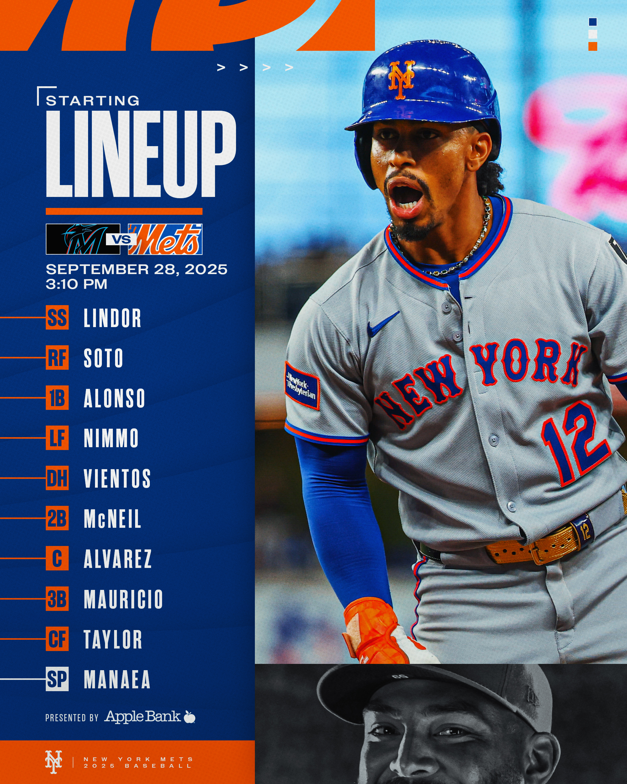 The Amazing Mets Champions ポスター額入り The Amazing Mets