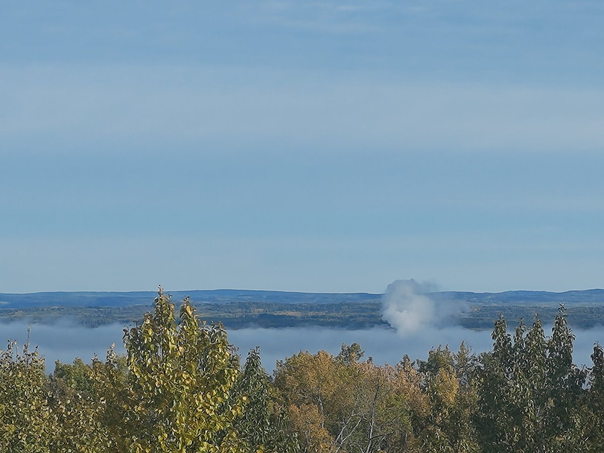 Sigurd the Mighty tweet media