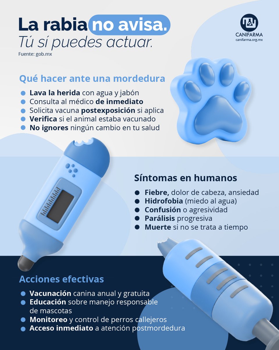 🐶 La rabia es una de las enfermedades más mortales y prevenibles del mundo. Cada año, mueren 59,000 personas por esta causa, y el 99% de los casos se deben a mordeduras de perros no vacunados.

Afecta principalmente a comunidades vulnerables, y el 40% de las víctimas son niños