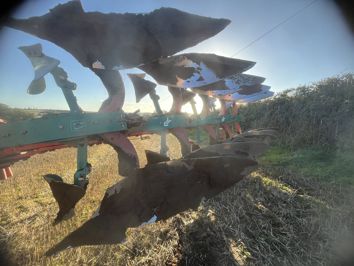 Longwool's tweet image. Irritating bordering on ‘kin annoying 😡😡  IYKYN