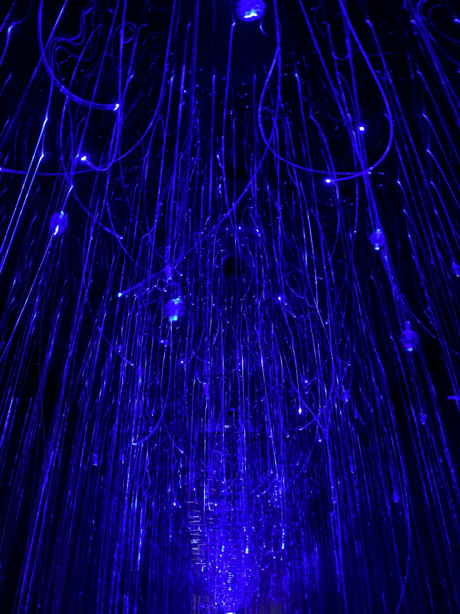 “Vincent Van Gogh Işığın İzinde Sergisi” Eylül, 2025