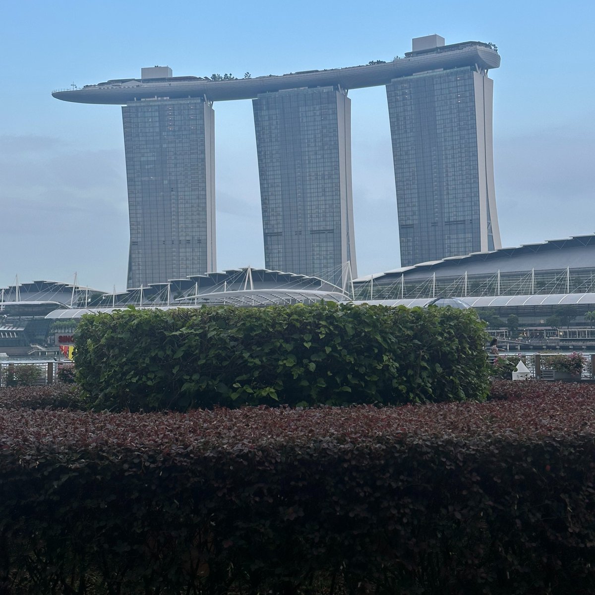 Ready for the #TOKEN2049 week and my first time in Singapore 🇸🇬

I'm here all week representing <a href="/safe/">Safe.eth</a> along with <a href="/anticustody/">André</a> Looking forward to meeting with different teams while I'm here. DMs open!