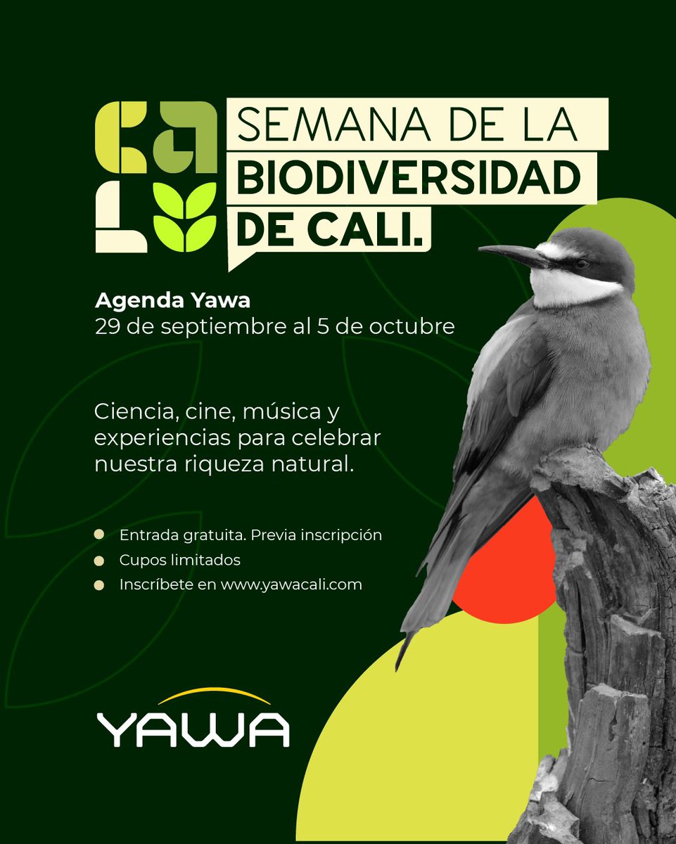 🌿 ¡Vive la Semana de la Biodiversidad en YAWA! 💚

🚀 Promoción especial: 2x1 en funciones del Planetario de las 12:00 p.m. y 4:00 p.m.

💜 Conoce la agenda e inscríbete en: yawacali.com/agenda-de-la-s…