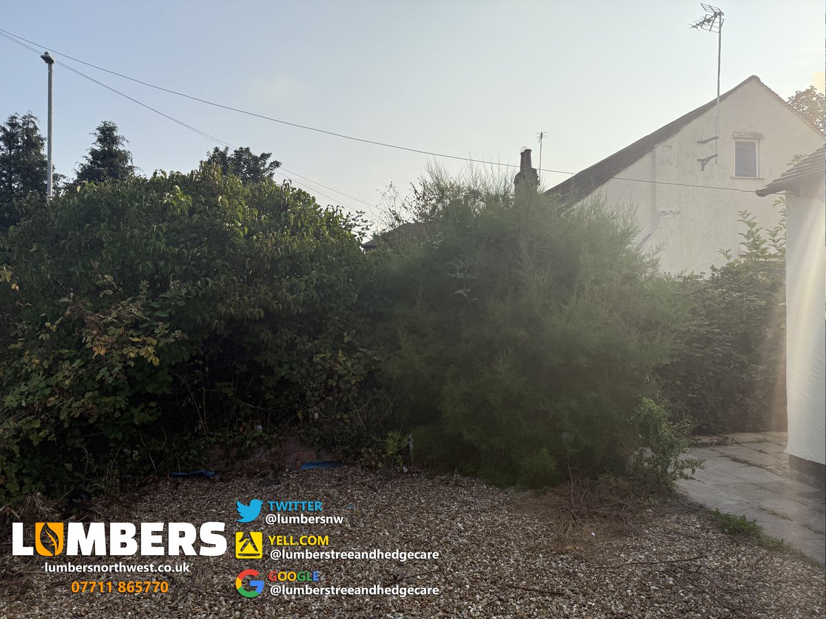 LumbersNW's tweet image. Before &amp;amp; After in Moreton, Wirral!

*Small vegetation clearance job carried out by our team in Moreton, Wirral in preparation for future landscaping works.
#treesurgery #wirral #chester #liverpool #beforeandafter #localbusiness