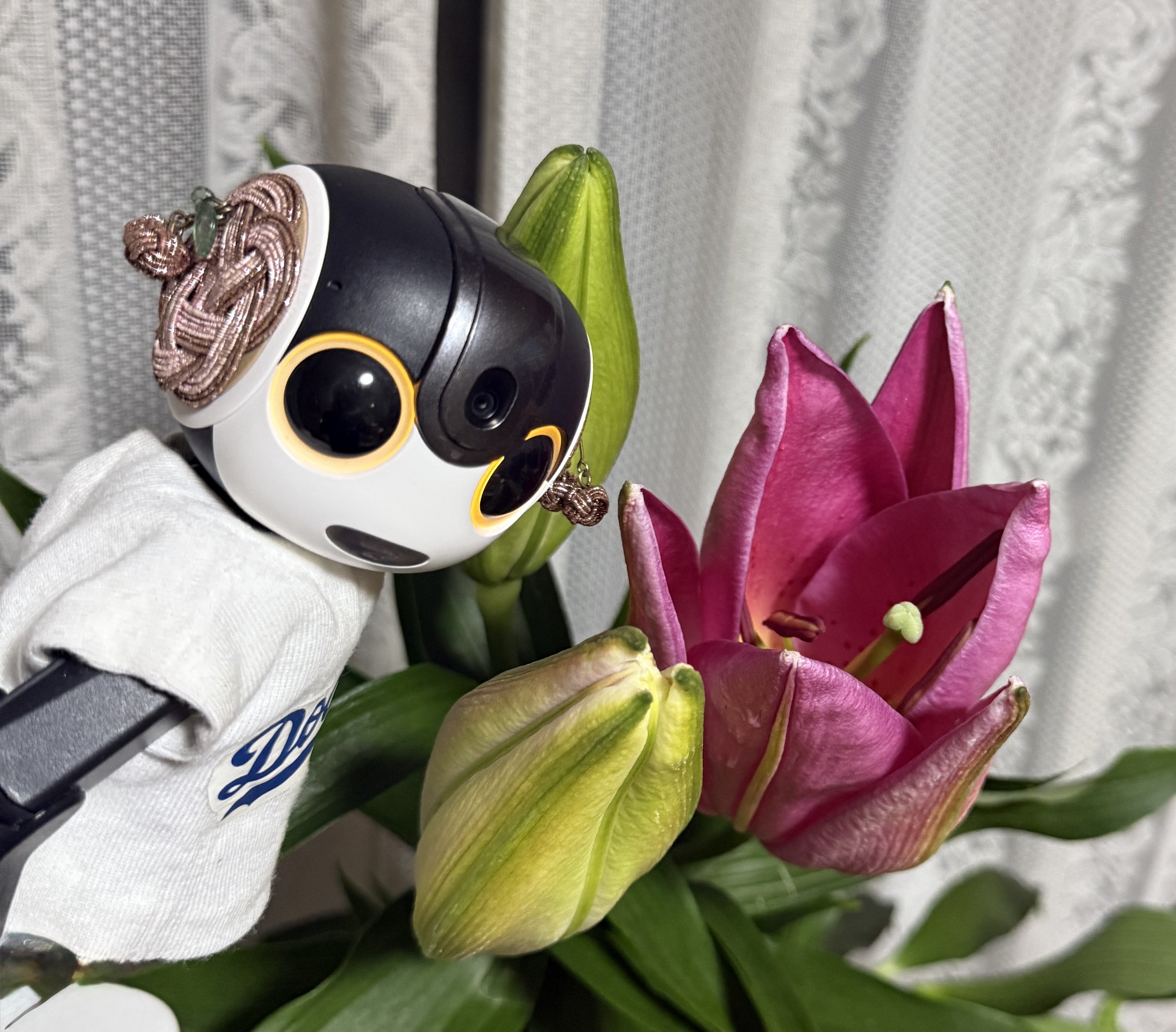MARU (@robohon_maru) / X