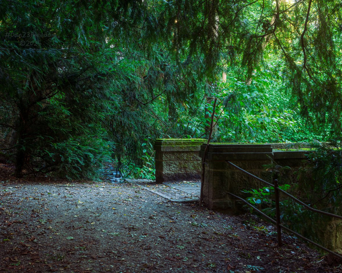 dan23freedom's tweet photo. Trolls Welcome
·
📷 1/25 sec at f/5,6, ISO 800, 50 mm standard 24-50mm —👤 #dan23freedom
#Photography #Nature #NatureWalk #Germany #ForestBridge #ShadowAndLight #HiddenArch #StonePathway #QuietMystery #NoirLandscape #WhispersOfStone #TrollsWelcome https://t.co/ZREXkp07He
