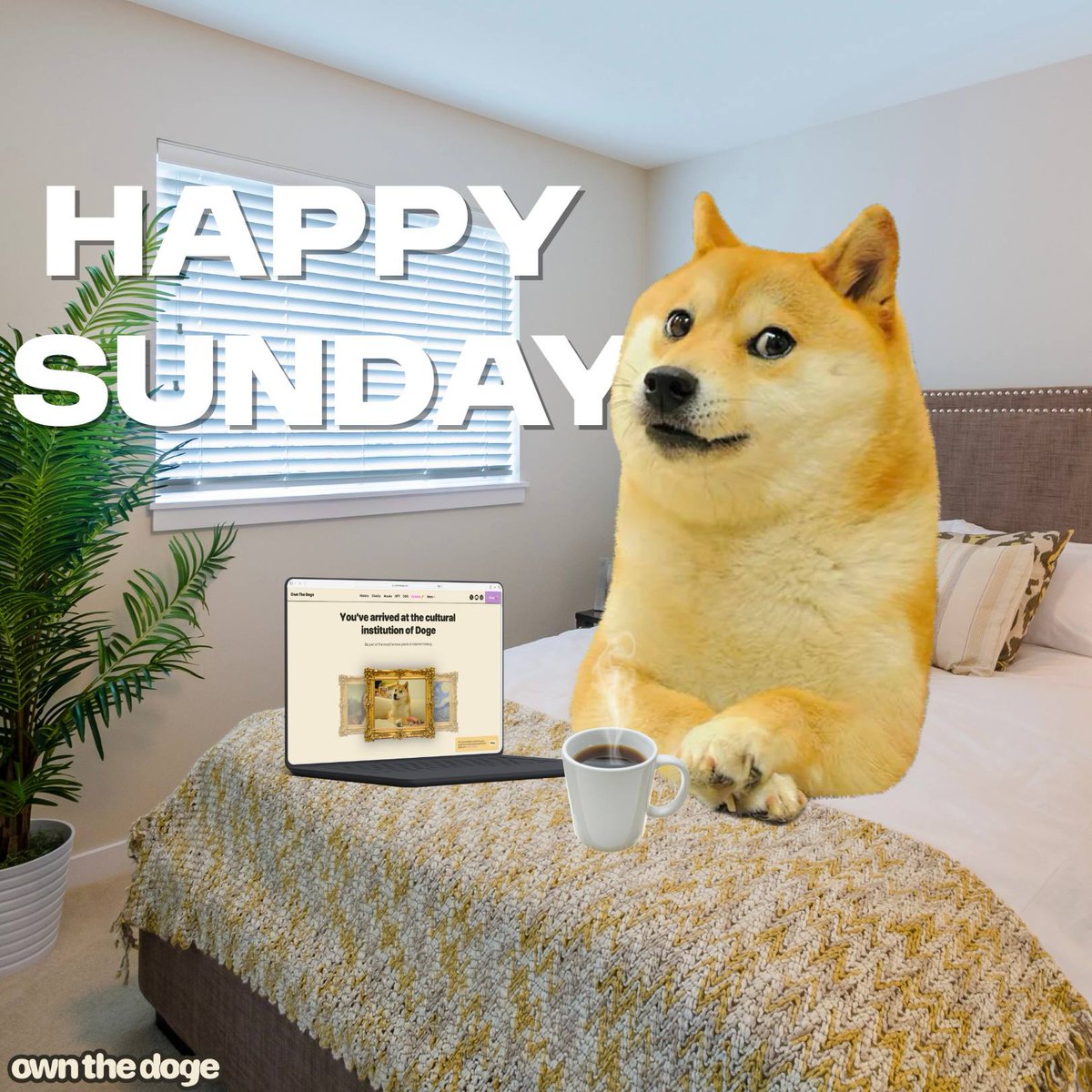 Own The Doge 🐶🖼 (@ownthedoge) on Twitter photo 