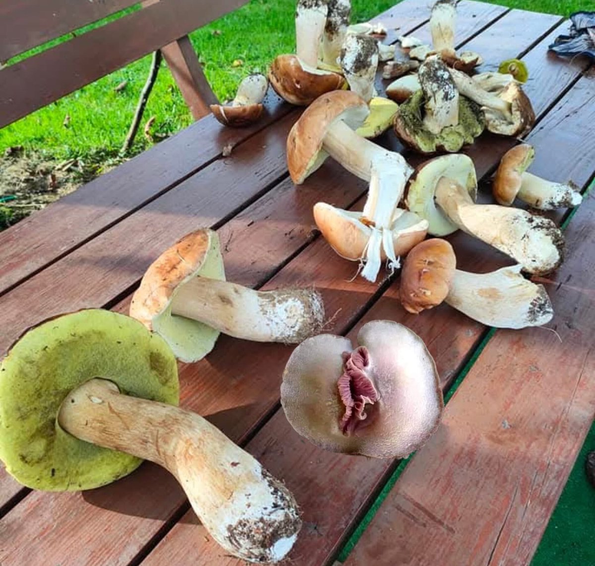 Pracowity dzień, jeden taki wyjątkowy mi się trafił