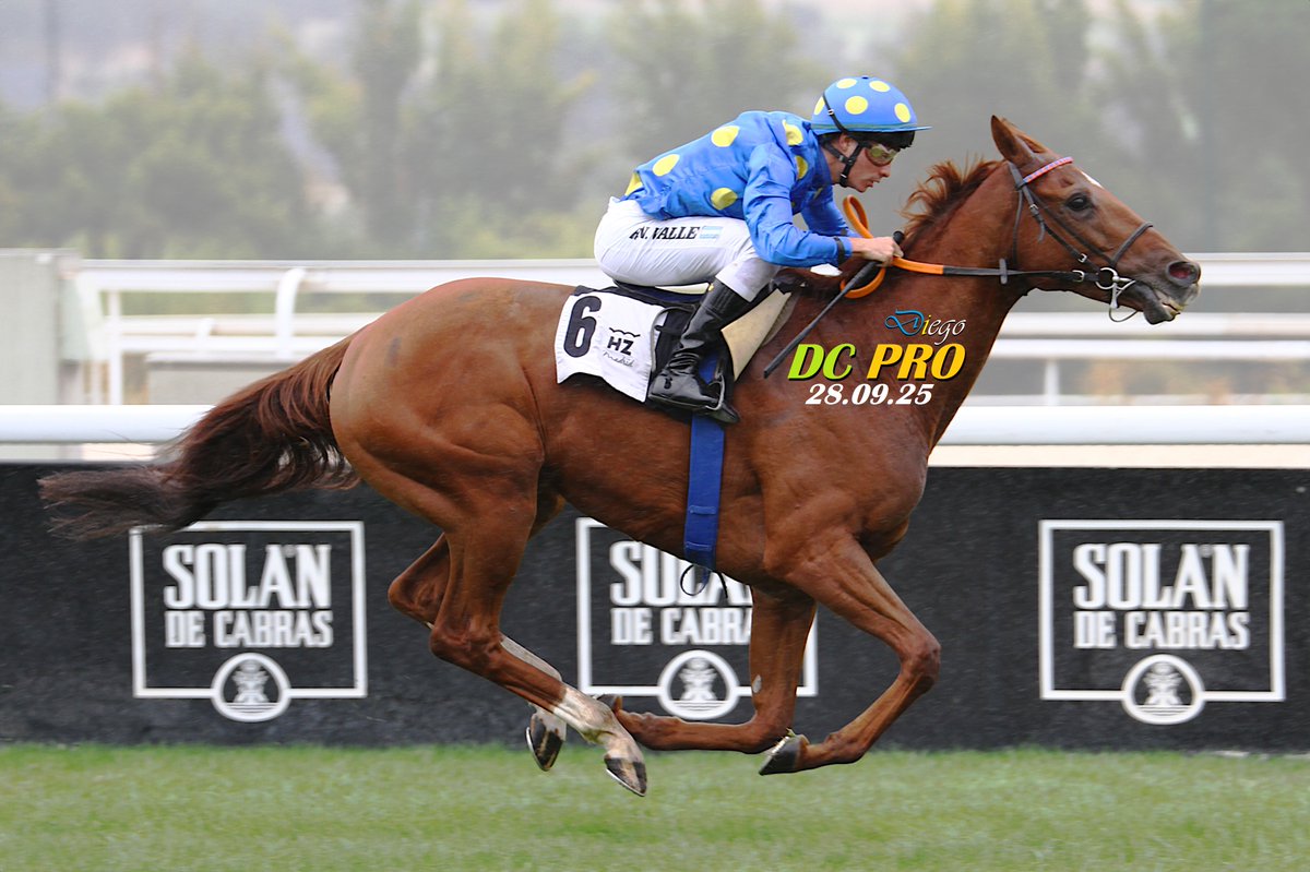 Romanticón (Mediterráneo), Cogsworth (Farrais P.), Prairie Falcon (Reza Pazooki, foto 1), Magical Beat (Díaz-Sarmiento, foto 2), Leyhaimur (JCA Racing) y Sucking Diesel (Chamartín) han sido los nombres triunfadores hoy en otra apasionante jornada en <a href="/HipodromoMadrid/">Hipódromo de La Zarzuela</a> ¡Enhorabuena!