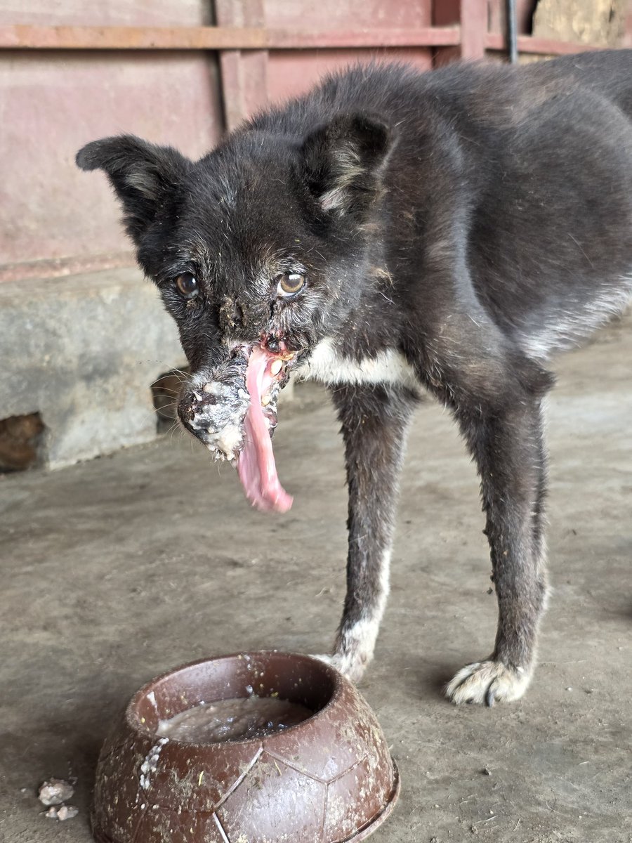 FeedingAnimal's tweet photo. ❤️❤️❤️ https://t.co/So95q80qlx